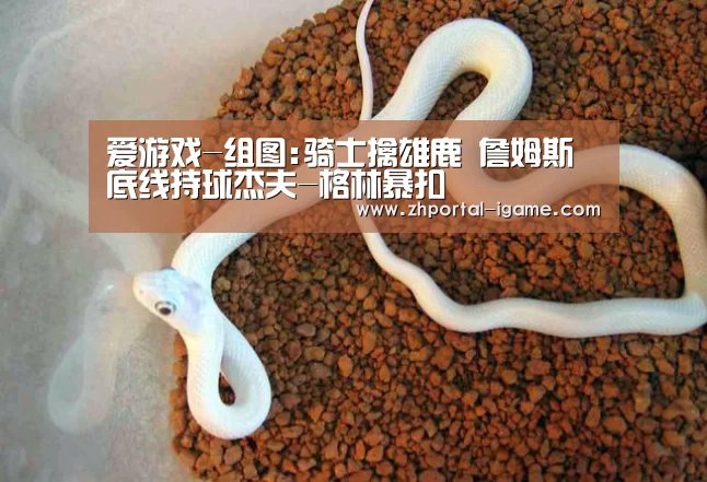 爱游戏-组图:骑士擒雄鹿 詹姆斯底线持球杰夫-格林暴扣(图3)